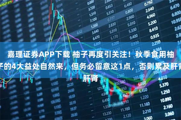 嘉理证券APP下载 柚子再度引关注！秋季食用柚子的4大益处自然来，但务必留意这1点，否则累及肝肾