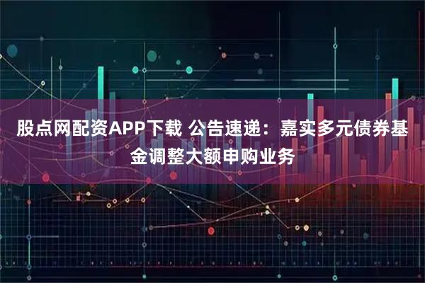 股点网配资APP下载 公告速递：嘉实多元债券基金调整大额申购业务