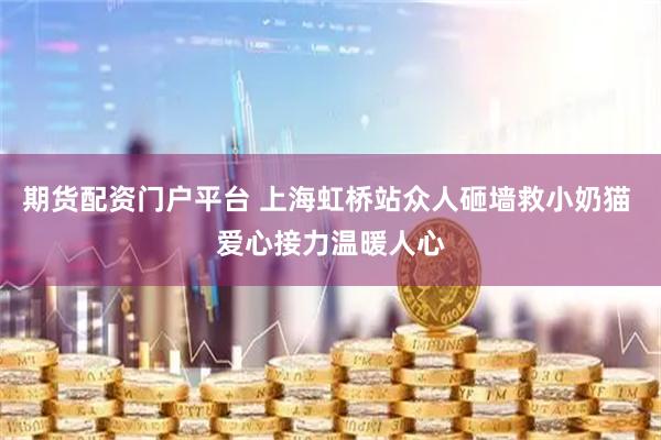 期货配资门户平台 上海虹桥站众人砸墙救小奶猫 爱心接力温暖人心